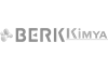 Berk kimya