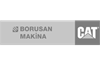 Cat Borusan