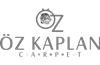 Öz Kaplan Carpet