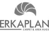Erkaplan